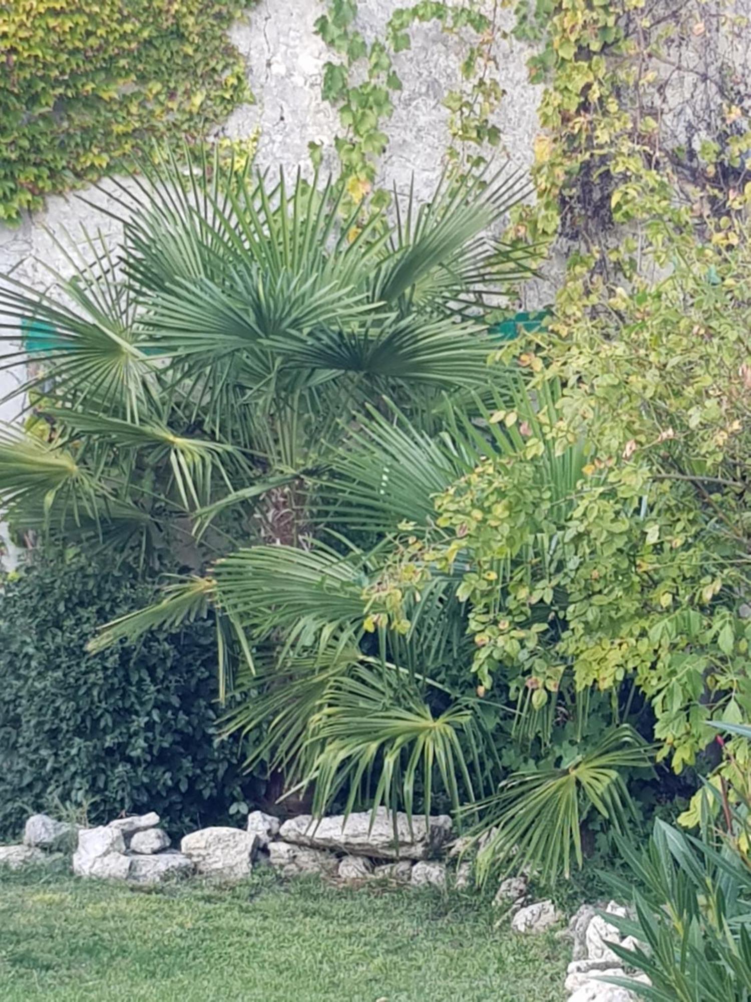 La Maison Malabar Villefranche-du-Queyran Eksteriør bilde